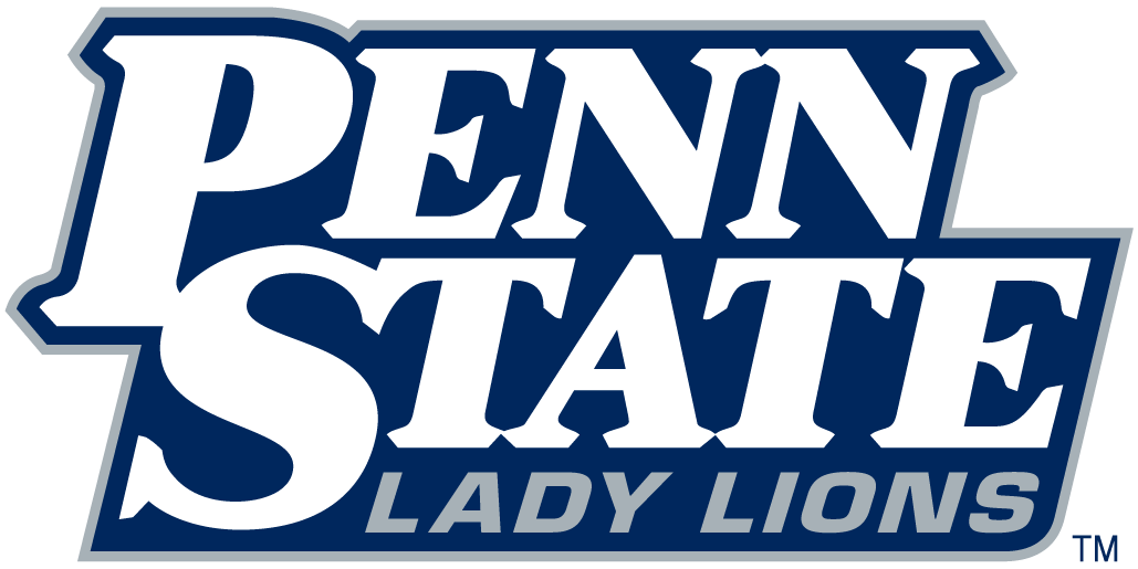 Penn State Nittany Lions 2001-2004 Wordmark Logo v2 iron on transfers for clothing